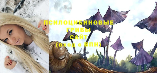 бутират Пролетарск